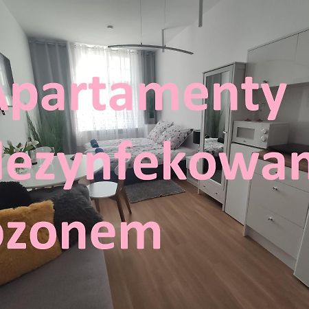 Apartament Elblag Goodenergy - Stare Miasto, Oldtown, Altstadt Eksteriør billede