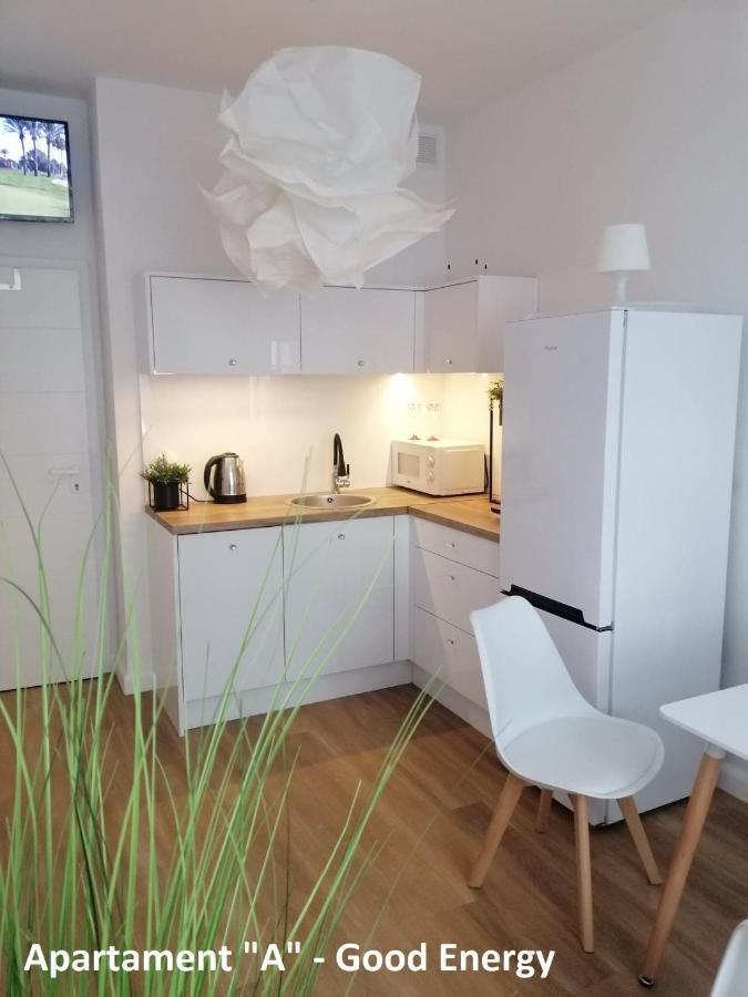 Apartament Elblag Goodenergy - Stare Miasto, Oldtown, Altstadt Eksteriør billede